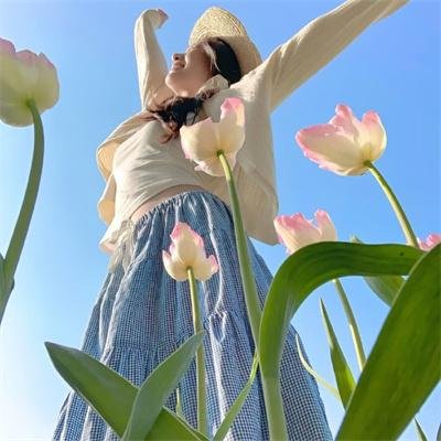 披头四大全